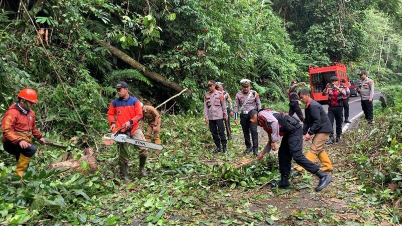 Petugas gabungan berjibaku membuka jalan tertutup pohon tumbang di KM 17 Jalan Lintas Krui - Liwa, Lampung Barat | Dok. Polres Lampung Barat.