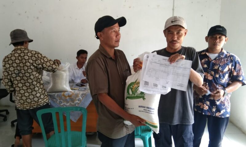 Pembagian Beras di Pekon Banjar Manis, Cukuh Balalk, Tanggamus, Rabu 21 Agustus 2024.