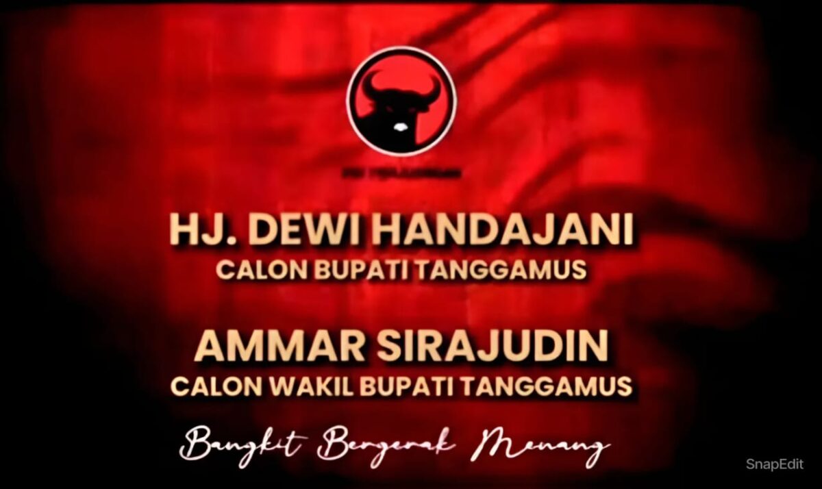 Flyer yang beredar di media sosial terkait pasangan Dewi Handajani dalam Pilkada 2024 Kabupaten Tanggamus.