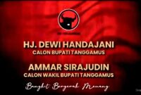 Flyer yang beredar di media sosial terkait pasangan Dewi Handajani dalam Pilkada 2024 Kabupaten Tanggamus.