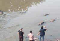 7 Mayat yang ditemukan di belakang Masjid Al Ikhlas Perumahan Pondok Gede Permai RT. 004/RW.008, Kel. Jatirasa, Kec. Jatiasih Kota Bekasi.