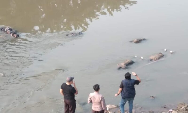 7 Mayat yang ditemukan di belakang Masjid Al Ikhlas Perumahan Pondok Gede Permai RT. 004/RW.008, Kel. Jatirasa, Kec. Jatiasih Kota Bekasi.