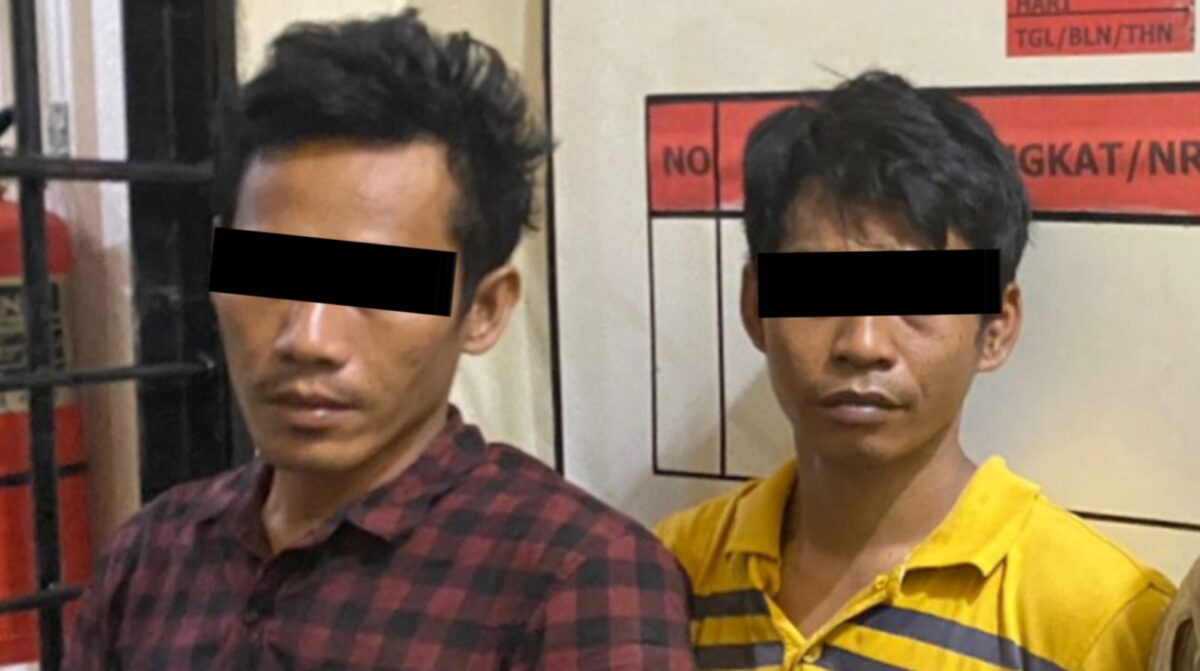 Dua tersangka diduga kurir Narkoba jenis sabu setelah diamankan dari Gubuk Tanjung Heran, Pugung, Tanggamus.
