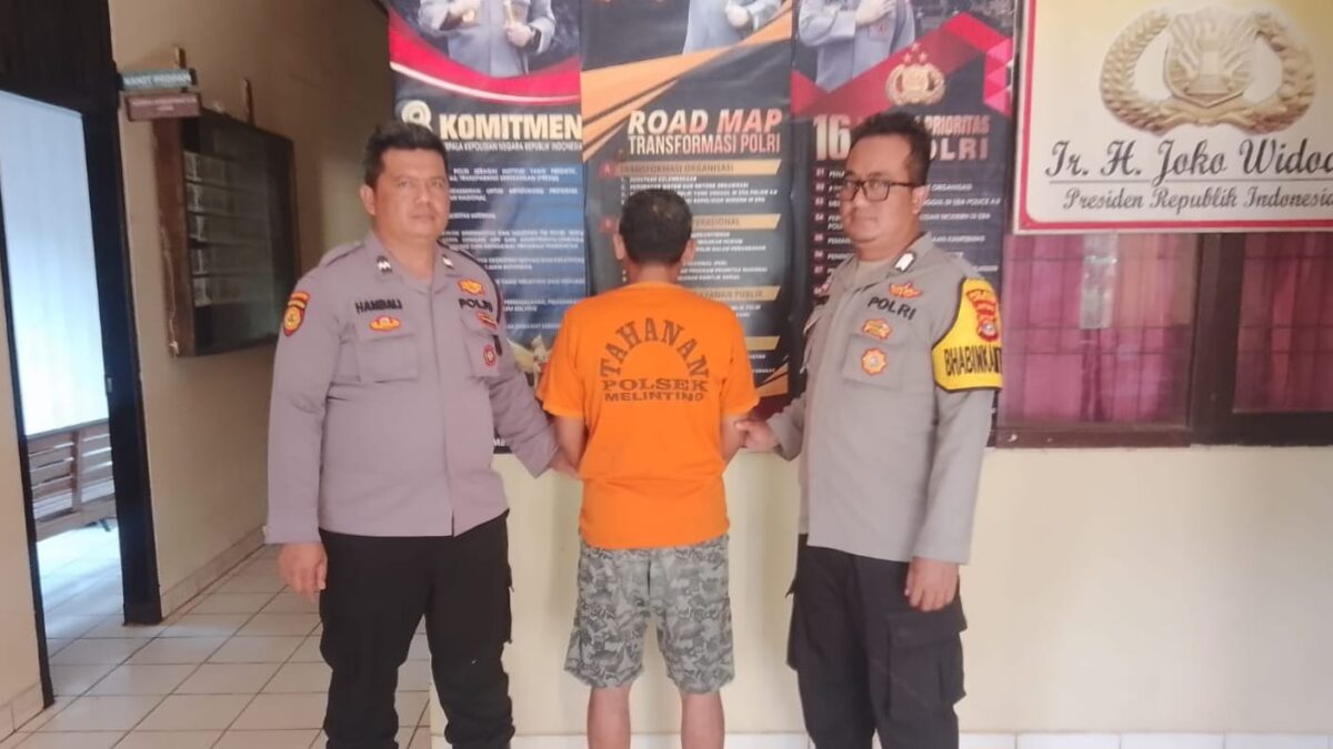 Tersangka AH setelah ditangkap Polsek Melinting, Selasa 3 Agustus 2024 | Dok. Polres Lampung Timur.