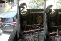 Kolase foto tangkapan layar saat pelaku pencurian beraksi di Bandar Lampung.