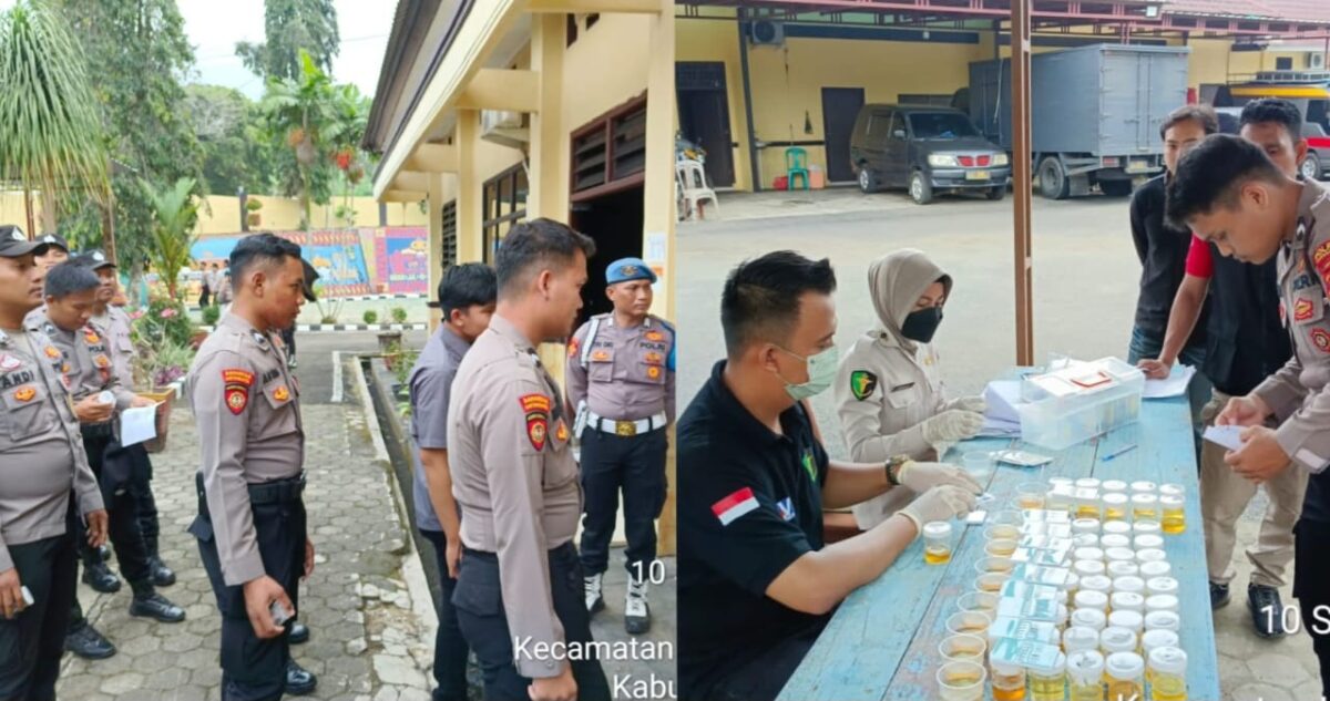 Pemeriksaan urine anggota Polres Tanggamus, Selasa 10 September 2024.