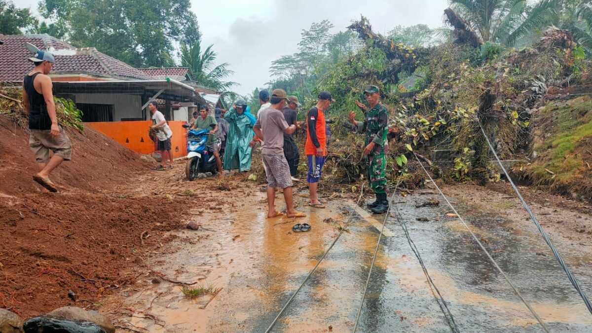 Pohon Tumbang di Pekon Pampangan Cukuh Balak, Tanggamus, Selasa 10 September 2024.