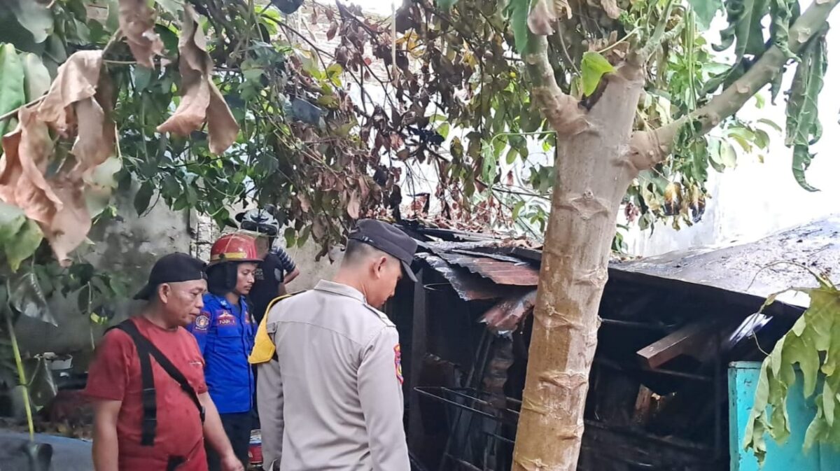 Polisi saat memeriksa kebakaran dapur rumah janda di Talang Padang Tanggamus, Rabu 11 September 2024, sore.