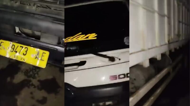 Truk terlibat kecelakaan di Gisting, Tanggamus saat mundur ke jalan raya, Senin 16 September 2024.