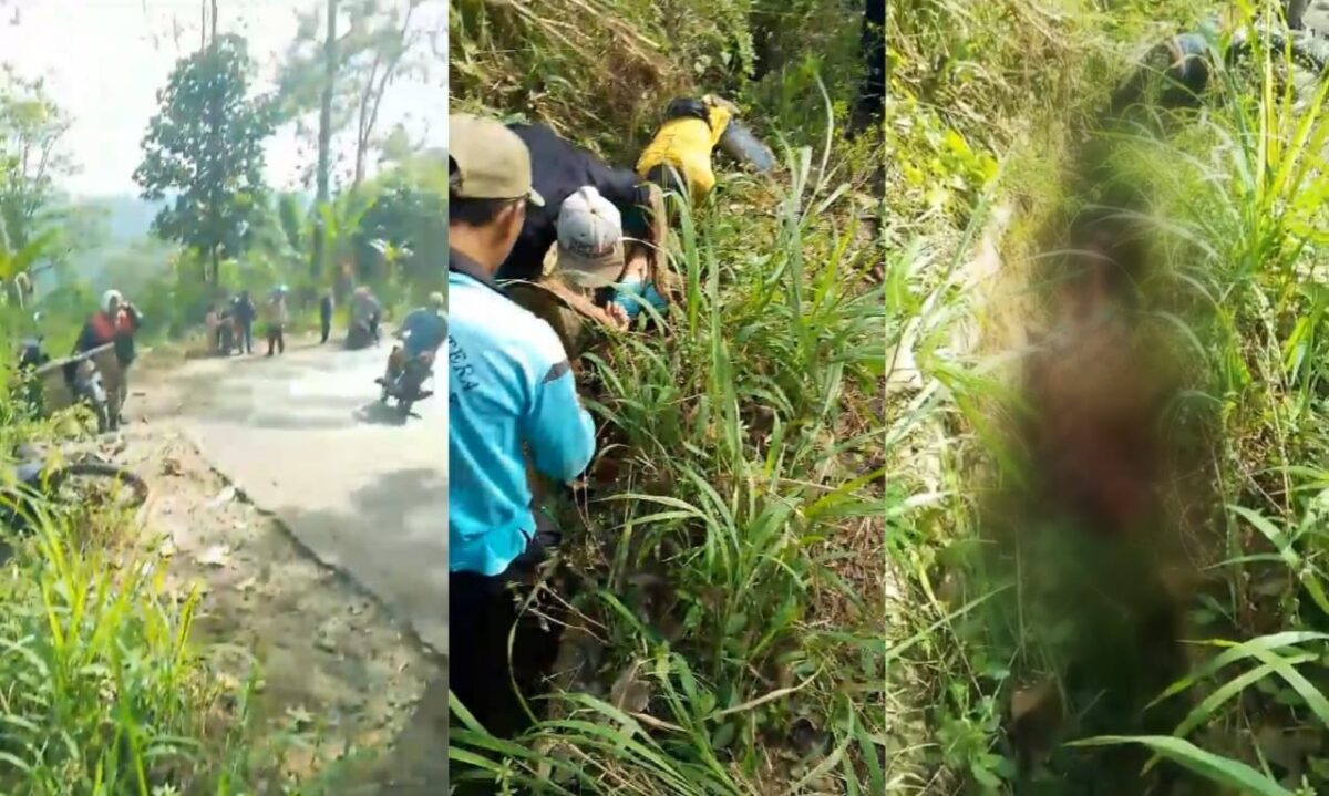 Kolase foto tangkapan layar kecelakaan tragis di jalan letter S, Pekon Talang Jawa, Pulau Panggung, Tanggamus, Selasa 17 September 2024.