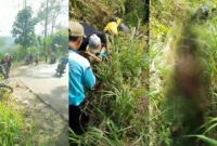 Kolase foto tangkapan layar kecelakaan tragis di jalan letter S, Pekon Talang Jawa, Pulau Panggung, Tanggamus, Selasa 17 September 2024.