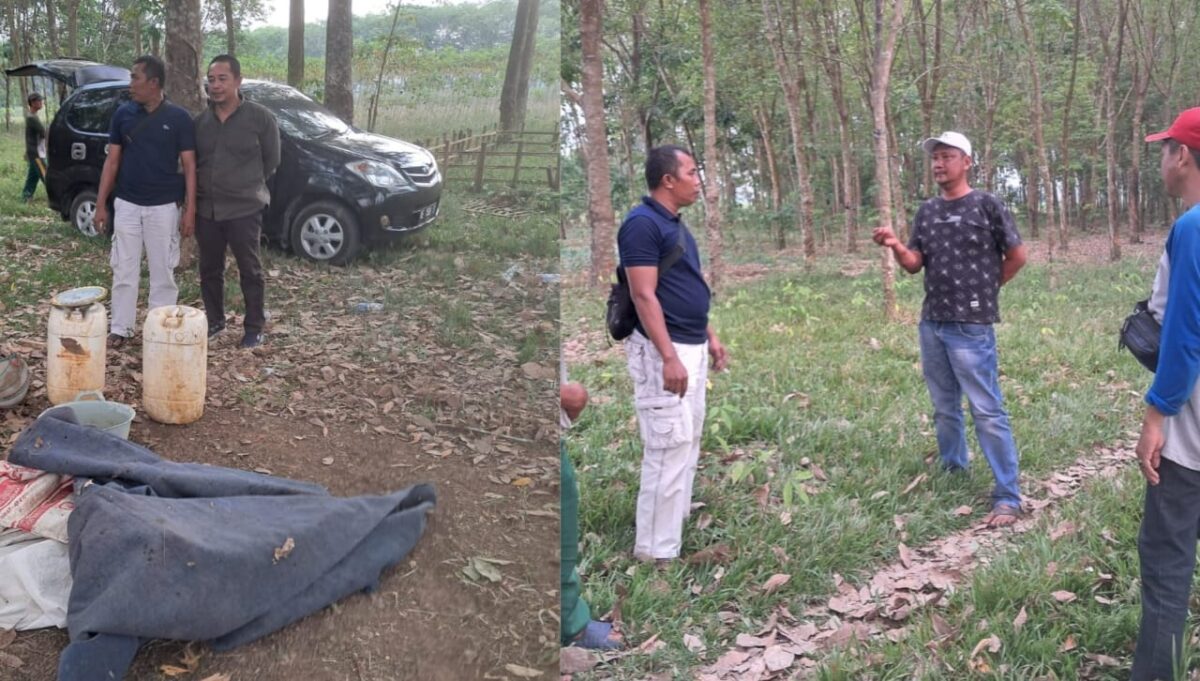 Penggerebekan Sabung Ayam di Kampung Pujodadi, Kecamatan Trimurjo, Kabupaten Lampung Tengah, Senin 23 September 2024.
