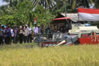 Panen raya padi di Lampung Barat bersama Kementan RI, Kamis 26 September 2024.