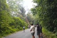 Petugas PLN korban saat tersengat listrik di Pesisir Barat Lampung, Senin 9 September 2024.