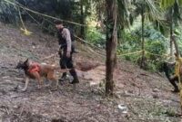 Polisi saat menerjunkan anjing pelacak di lokasi penemuan jenazah SKS pada Minggu 8 September 2024.