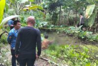 Mayat petani di Pematang Sawa saat diidentifikasi pihak kepolisian, Selasa 1 Oktober 2024, sore.