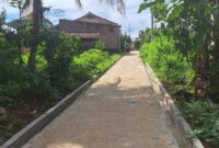 Jalan Rabat Beton di Pekon Banyumas, Kecamatan Banyumas, Pringsewu, Kamis 3 Oktober 2024.