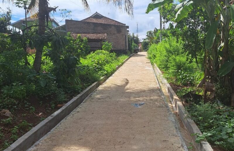 Jalan Rabat Beton di Pekon Banyumas, Kecamatan Banyumas, Pringsewu, Kamis 3 Oktober 2024.