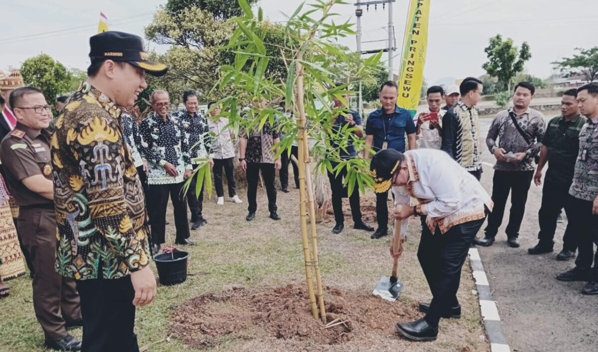 Penjabat (Pj.) Gubernur Lampung, Samsudin saat tanam bambu di depan kantor Bupati Pringsewu, Kamis 3 Oktober 2024 
