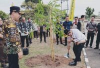 Penjabat (Pj.) Gubernur Lampung, Samsudin saat tanam bambu di depan kantor Bupati Pringsewu, Kamis 3 Oktober 2024 