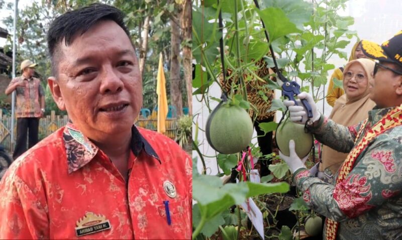 Kolase foto Camat Pugung Tanggamus Ahmad Yani Halim saat memberikan keterangan dan saat Pj Gubernur Lampung Samsudin petik melon di Green House Bunga Tanjung, Jumat 4 Oktober 2024 | Asrul Ariski/Media Prioritastv.com.