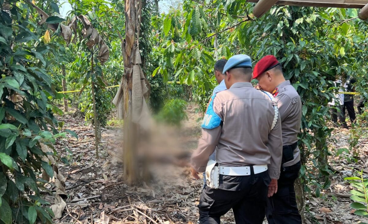 Polisi saat melakukan identifikasi penemuan mayat di Kebun Pekon Lugusari, Pagelaran, Pringsewu, Senin 7 Oktober 2024.
