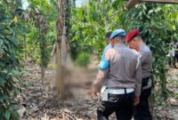 Polisi saat melakukan identifikasi penemuan mayat di Kebun Pekon Lugusari, Pagelaran, Pringsewu, Senin 7 Oktober 2024.