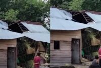 Pohon Tumbang menimpa rumah warga Semak, Tanggamus, Kamis 31 Oktober 2024.