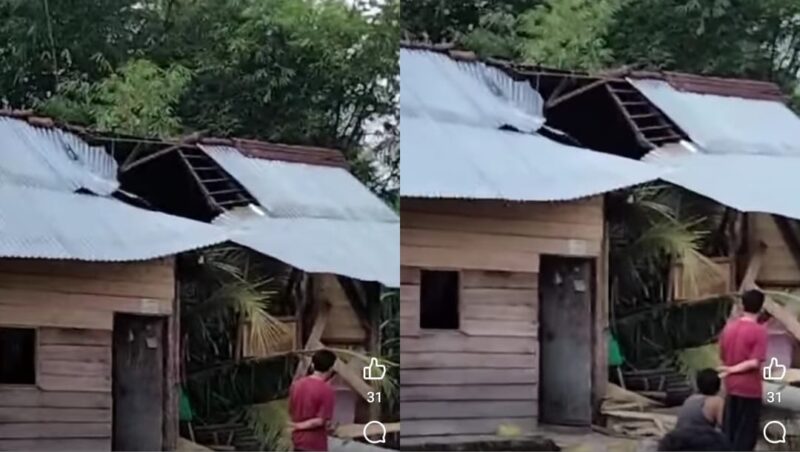 Pohon Tumbang menimpa rumah warga Semak, Tanggamus, Kamis 31 Oktober 2024.