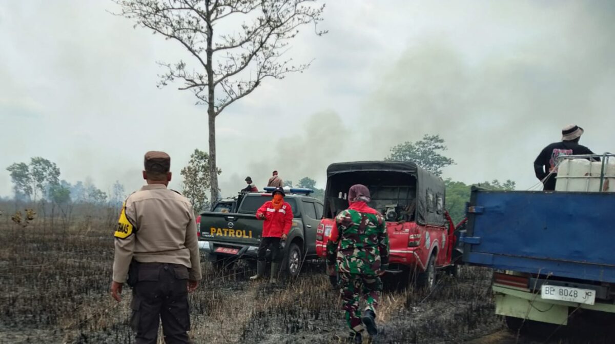 Petugas gabungan saat melakukan pemadaman kebakaran di TNWK Lampung Timur, Kamis 31 Oktober 2024.