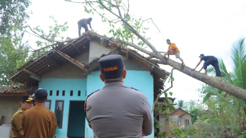 Kapolda Lampung saat meninjau pemotongan dahan di Sukoharjo, Pringsewu, Selasa 5 Nopember 2024.