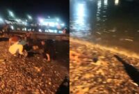 Kolase foto saat warga mengambil ikan dan saat ikan-ikan naik ke darat, Selasa 5 Nopember 2024, malam | Tangkapan Layar Video.