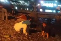 Tangkapan layar video saat ikan naik ke pantai di Kota Agung, Tanggamus, Selasa 5 Nopember 2024, malam.
