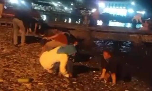 Tangkapan layar video saat ikan naik ke pantai di Kota Agung, Tanggamus, Selasa 5 Nopember 2024, malam.