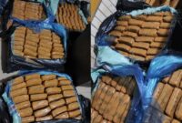 Barang bukti ganja yang berhasil diamankan Polda Lampung.