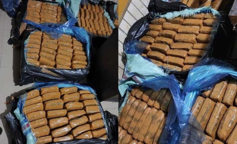 Barang bukti ganja yang berhasil diamankan Polda Lampung.