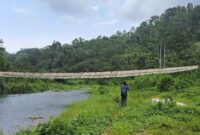 Kondisi jembatan gantung penghubung warga tiga dusun di Pekon Umbar, Kelumbayan, Tanggamus yang rusak parah, Sabtu 9 November 2024 | Bahyuti/Hayat.