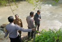 Petugas melakukan penyisiran di pinggir sungai tangkas, Way Kanan, Lampung, Rabu 20 November 2024.