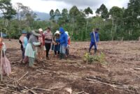 Bhabinkamtibmas Polsek Pulau Panggung Bersama Masyarakat saat Tanam Jagung di Area Pos Polisi Ulu Belu. Foto : Asrul Ariski | Media Prioritastv.com. 