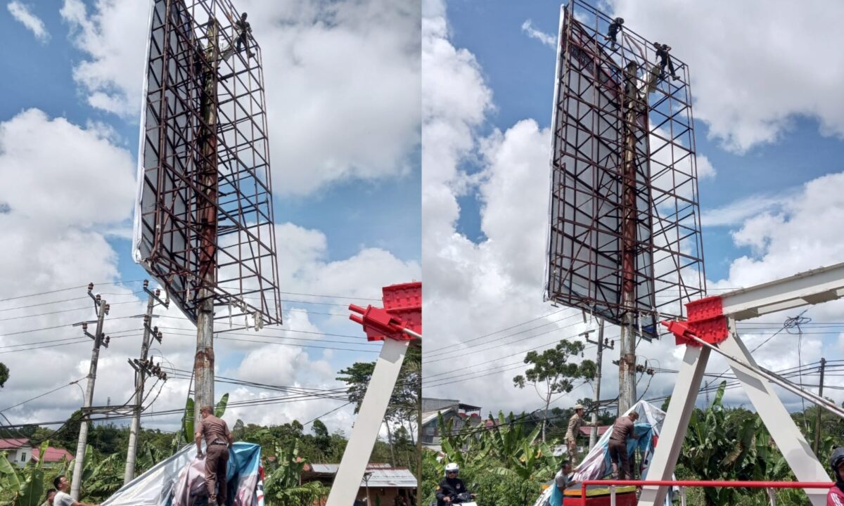 Kolase foto pencopotan alat peraga kampanye oleh Bawaslu Lampung Barat, Senin 25 November 2024.
