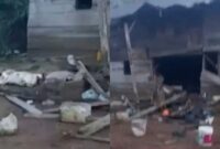 Kolase foto kerusakan gubuk di Talang Sindang, Blok 8 Banding, Tanggamus, Jumat 15 November 2024 | Dok. Endang Susanti.