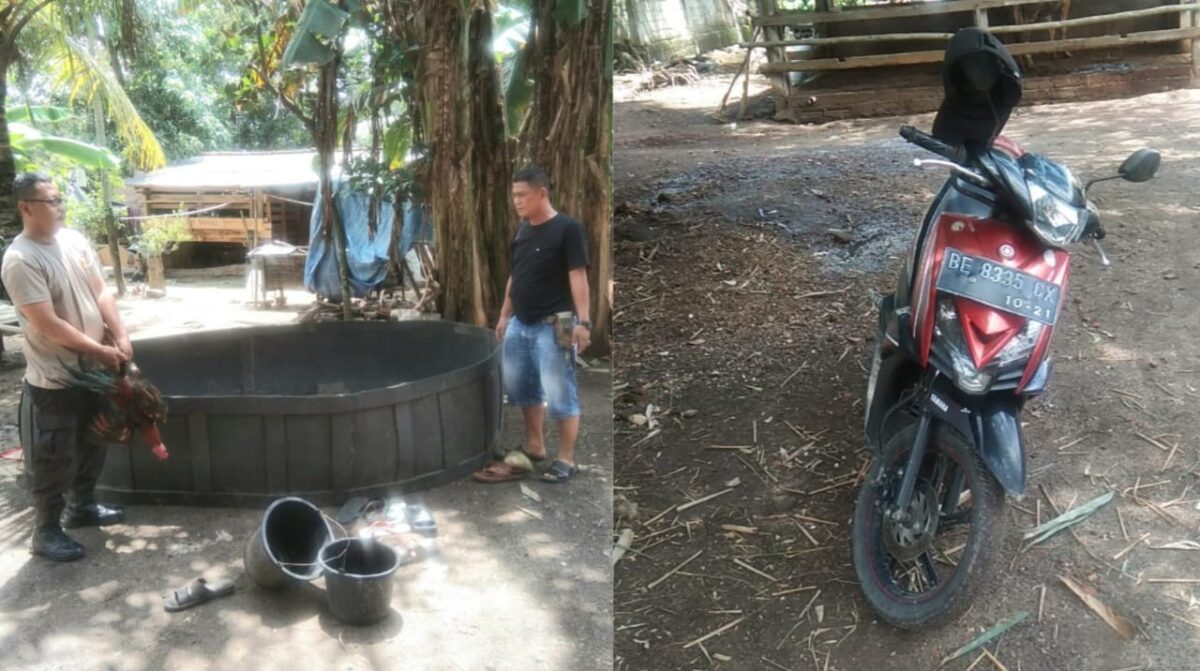 Kolase foto polisi saat berada di TKP penggerebekan dan barang bukti yang diamankan pada Sabtu 30 November 2024 | Dok. Polres Lampung Tengah.