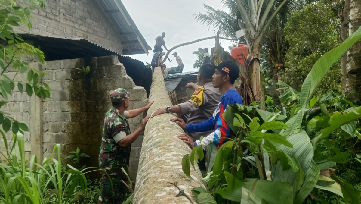 Kolaborasi Bhabinkamtibmas, Babinsa dan warga saat evakuasi pohon tumbang di Pekon Tanjung Jati, Kota Agung Timur, Tanggamus, Selasa 3 Desember 2024 | Dok. Polres Tanggamus.