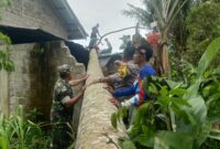 Kolaborasi Bhabinkamtibmas, Babinsa dan warga saat evakuasi pohon tumbang di Pekon Tanjung Jati, Kota Agung Timur, Tanggamus, Selasa 3 Desember 2024 | Dok. Polres Tanggamus.