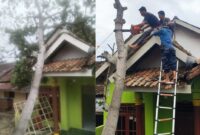 Kolase foto saat pertama kali peristiwa pohon tumbang dan saat proses evakuasi pohon, Selasa 3 Desember 2024.
