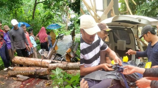 
 Kolase foto kendaraan bermuatan kayu yang dibawa korban dan saat korban dievakuasi menggunakan mobil ambulance, Minggu 8 Desember 2024.