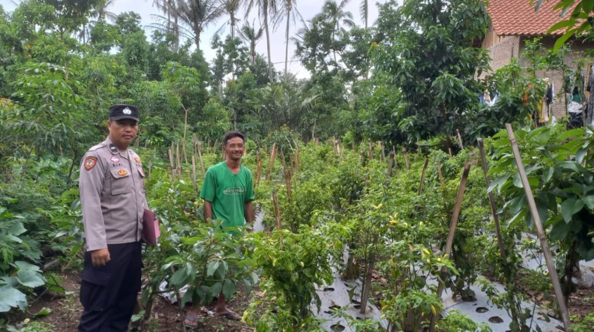 Bhabinkamtibmas Aipda Reri Haryadi saat memotivasi warga binaanya di Pekon Simpang Kanan, Kecamatan Sumberejo, Kabupaten Tanggamus, pada Minggu, 8 Desember 2024, pukul 14.00 WIB.