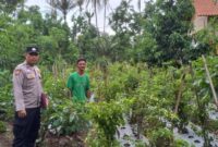 Bhabinkamtibmas Aipda Reri Haryadi saat memotivasi warga binaanya di Pekon Simpang Kanan, Kecamatan Sumberejo, Kabupaten Tanggamus, pada Minggu, 8 Desember 2024, pukul 14.00 WIB.