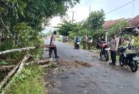 Polisi saat melakukan pemeriksaan TKP pohon tumbang timpa warga Way Kanan, Kamis 26 Desember 2024 | Dok. Polres Way Kanan.