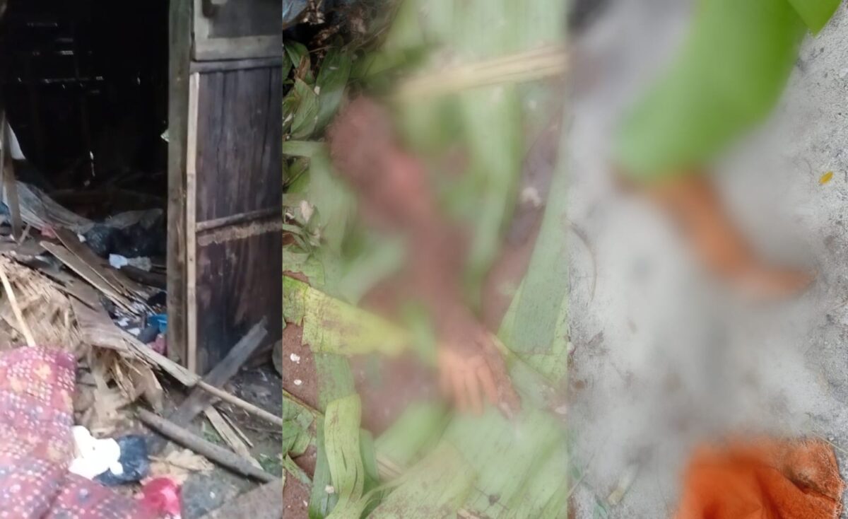 Kolase foto gubuk korban yang berantakan dan potongan tubuh korban yang tercabik-cabik gajah liar, Senin 30 Desember 2024, dinihari | Dok. Istimewa.